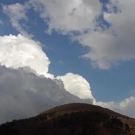 Dietz 3*